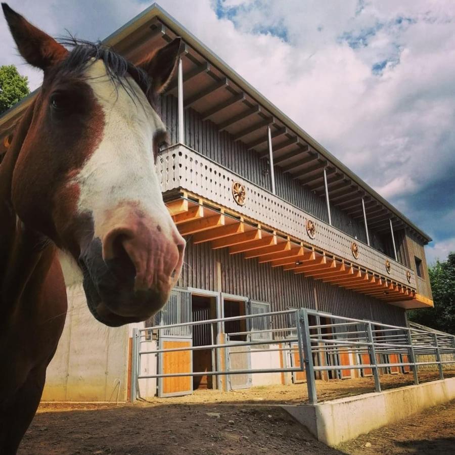 Erlebnisbauernhof Gutschi Ranch Apartamento Kamp Exterior foto