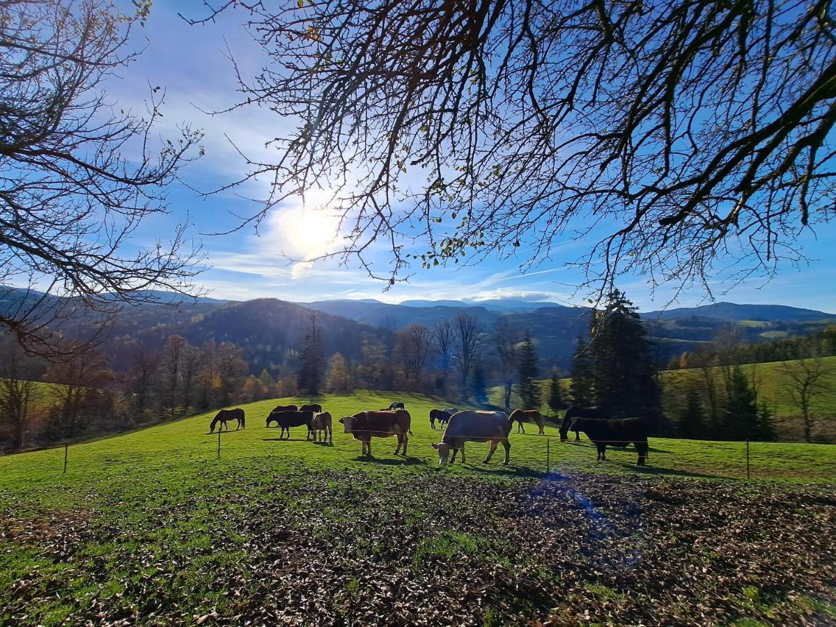 Erlebnisbauernhof Gutschi Ranch Apartamento Kamp Exterior foto